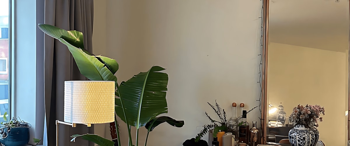 Studio huren in Leiden