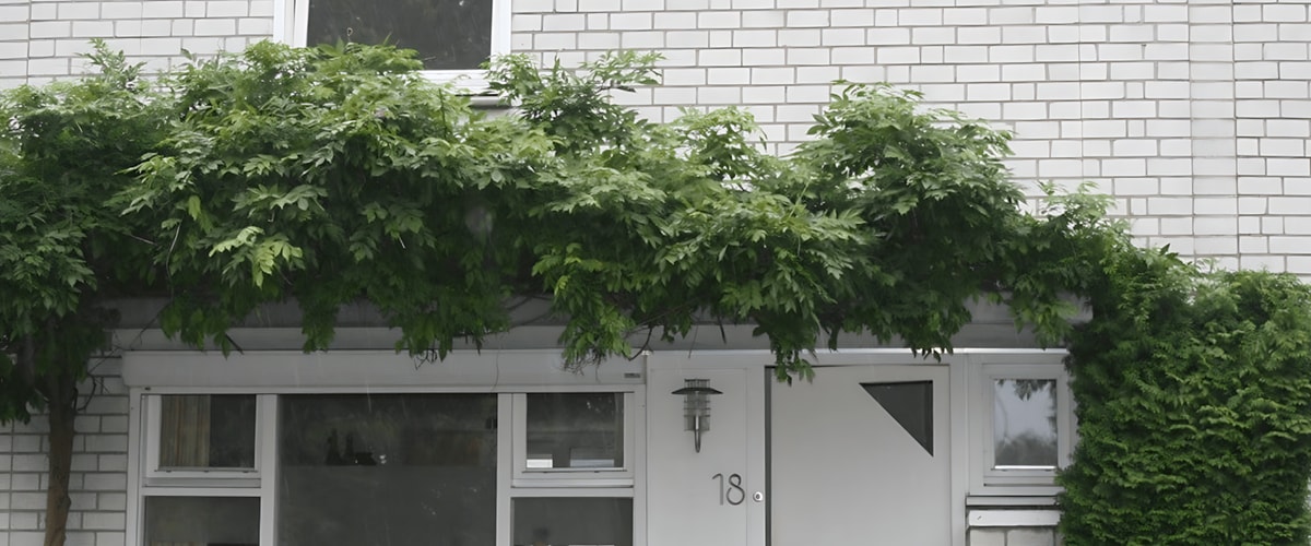 Huis huren in Maastricht