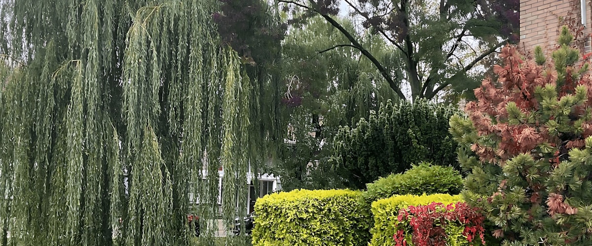 Kamer huren in Huizen