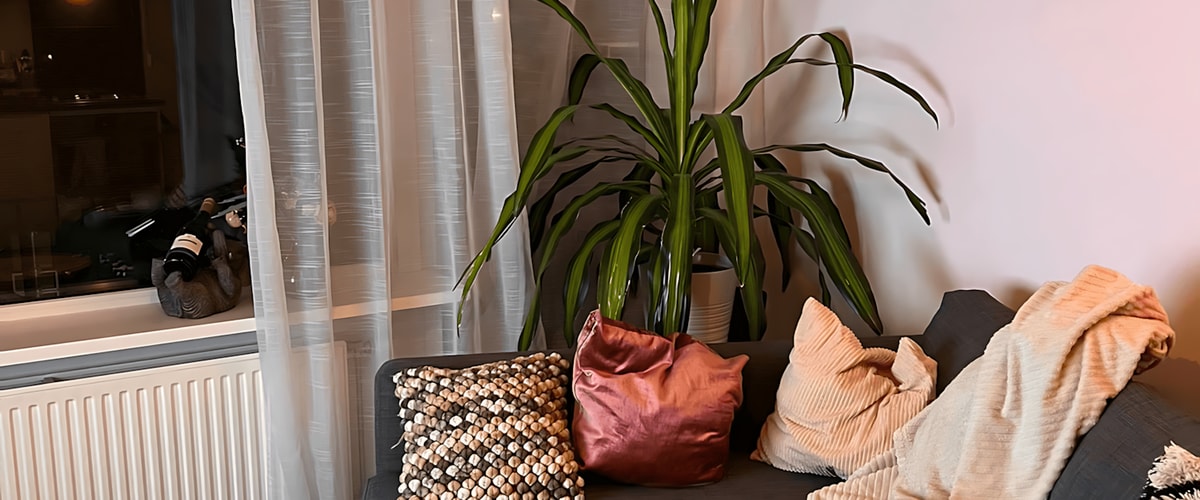 Studio huren in Zwolle