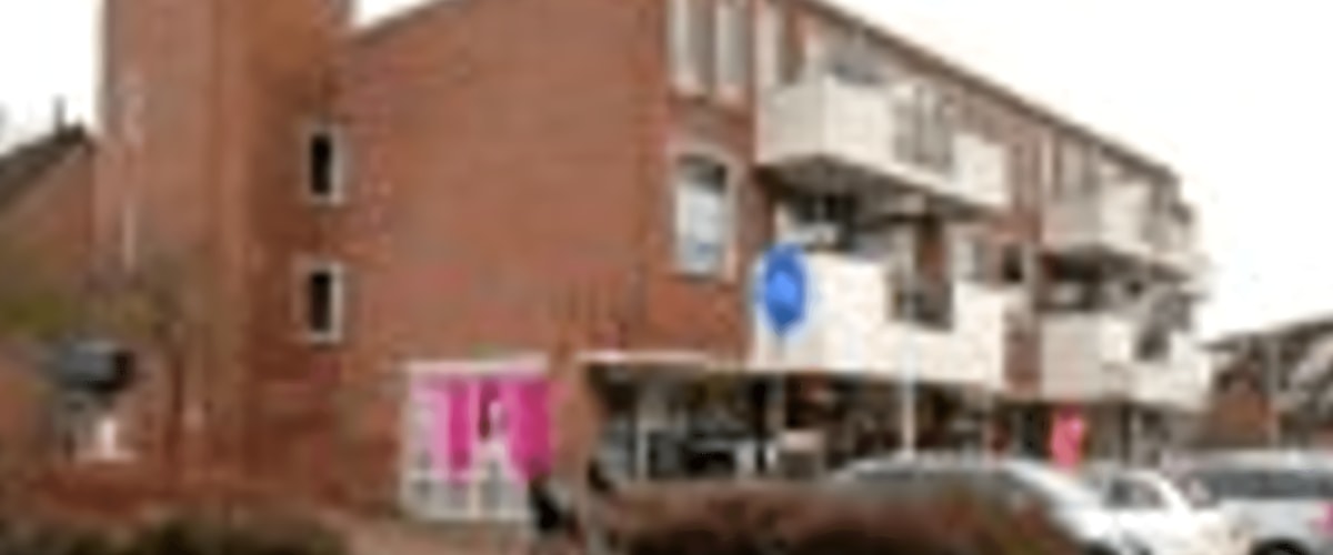 Appartement huren in Vianen