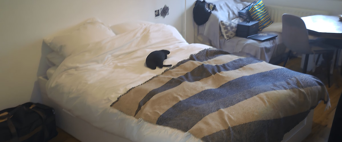 Kamer huren in Zandvoort