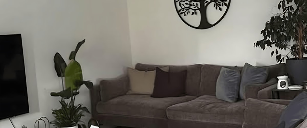 Kamer huren in Haarlem