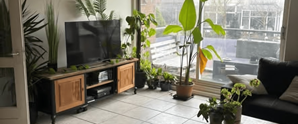 Kamer huren in Zandvoort