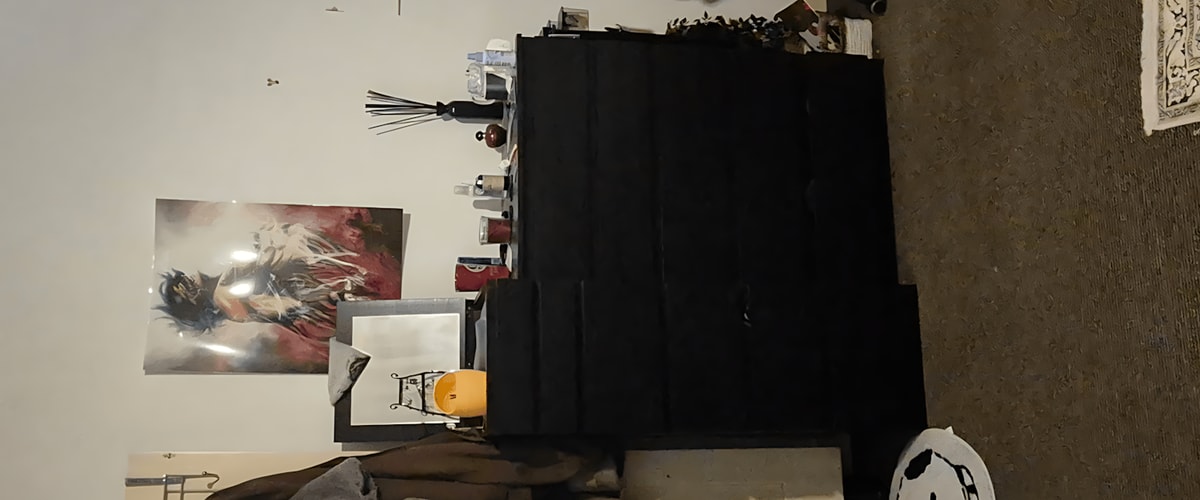 Kamer huren in Haarlem