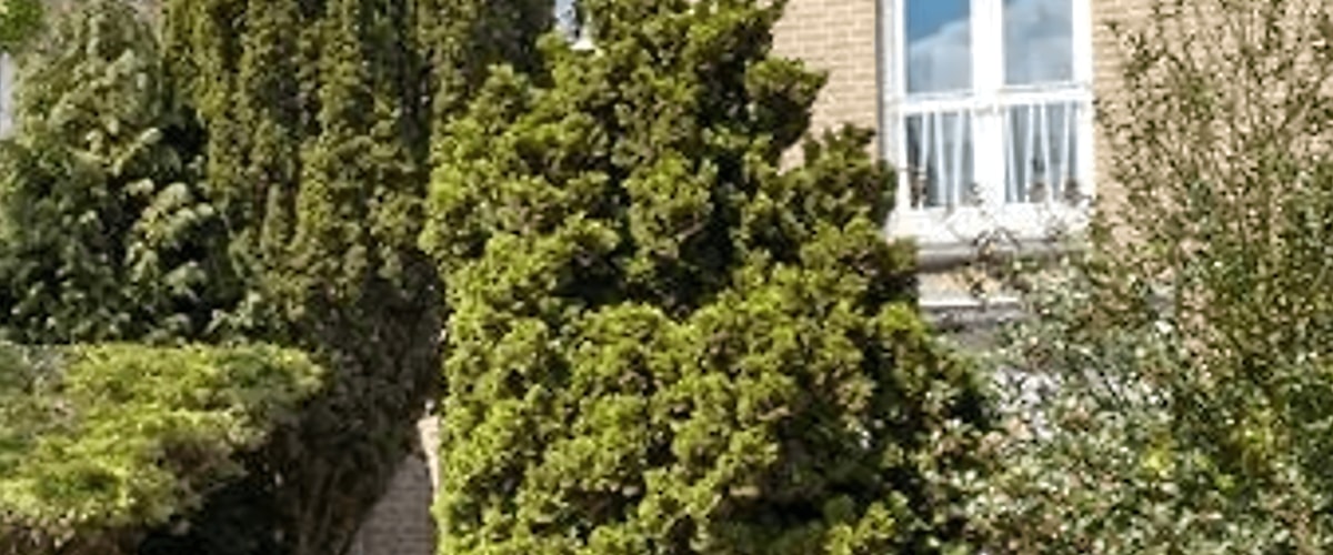 Huis huren in Maastricht