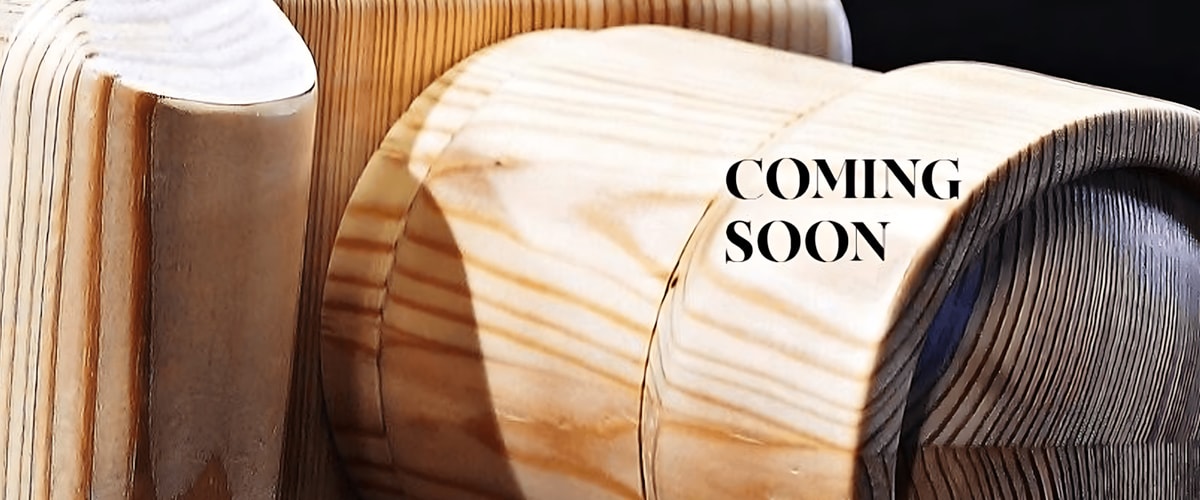 Kamer huren in Haarlem