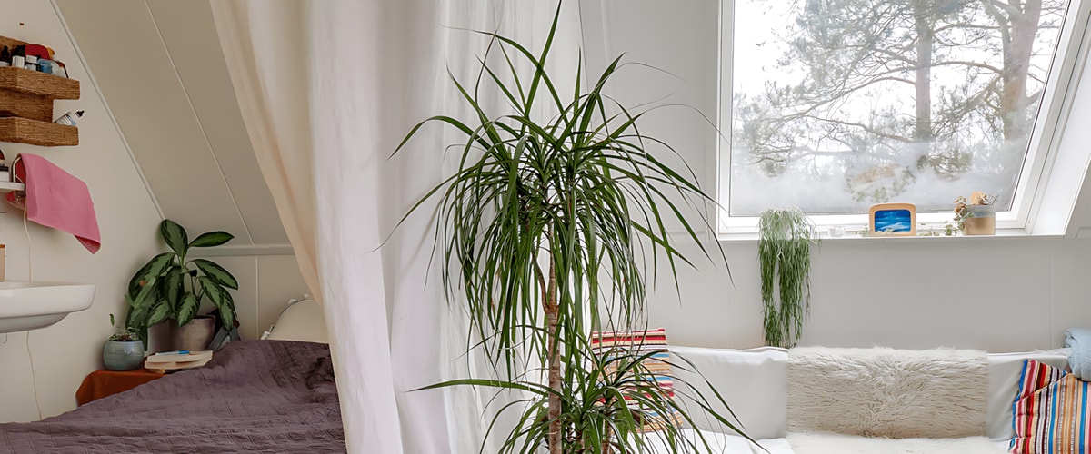 Kamer huren in Zeist