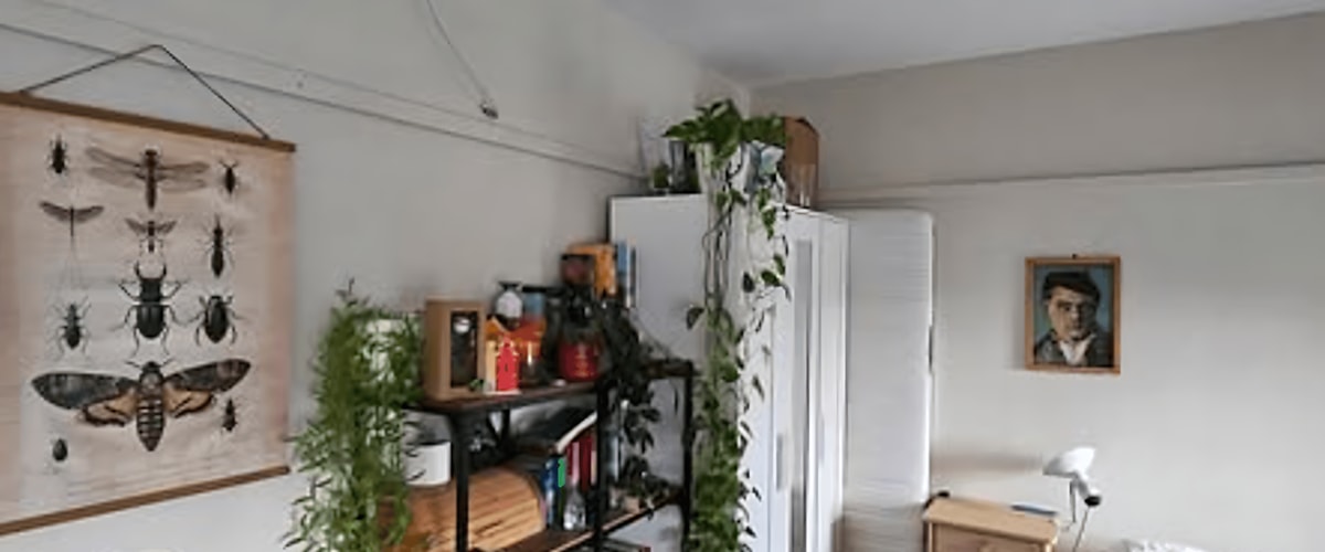 Kamer huren in Eindhoven