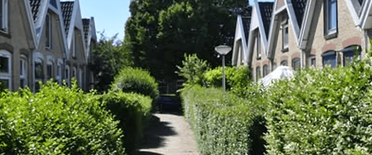 Kamer huren in Leeuwarden