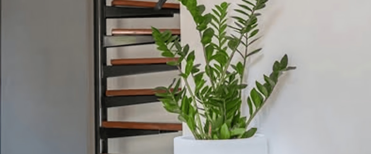 Studio huren in Eindhoven