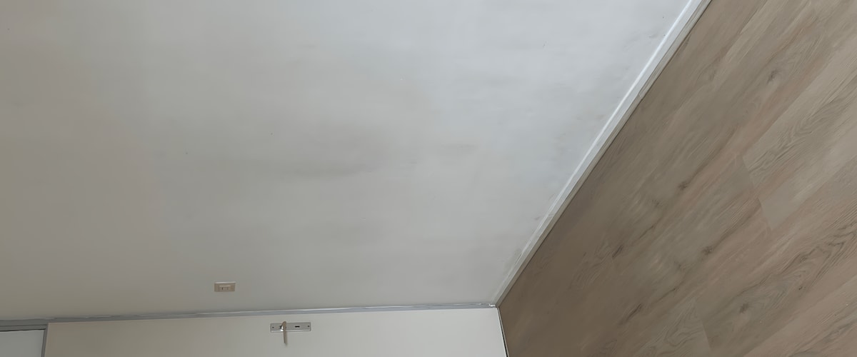 Kamer huren in Breda