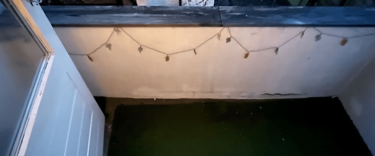 Kamer huren in Groningen