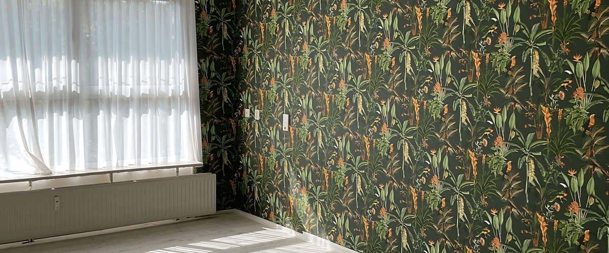 Appartement huren in Assen