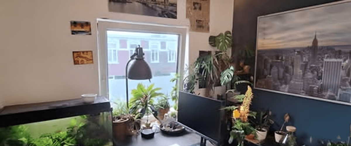 Kamer huren in Nijmegen