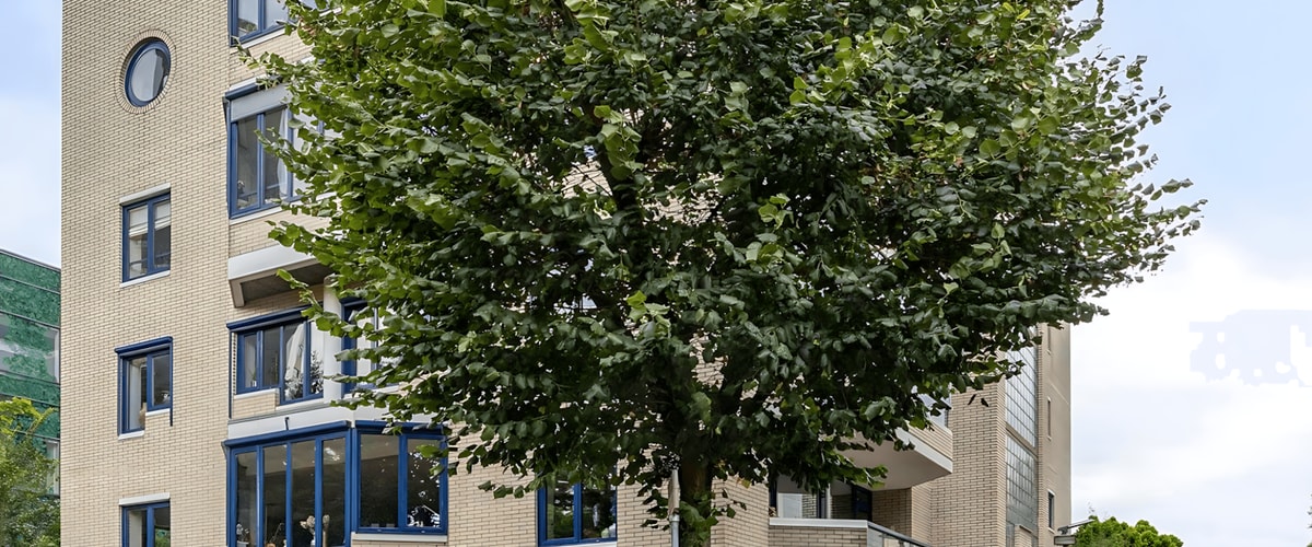 Appartement huren in Tilburg