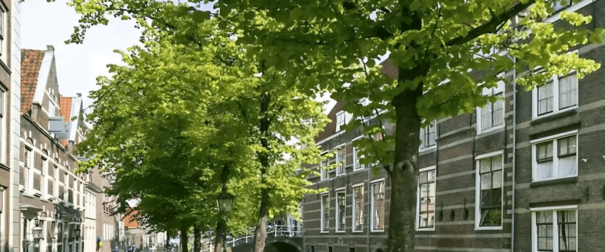 Bedrijfsruimte huren in Delft