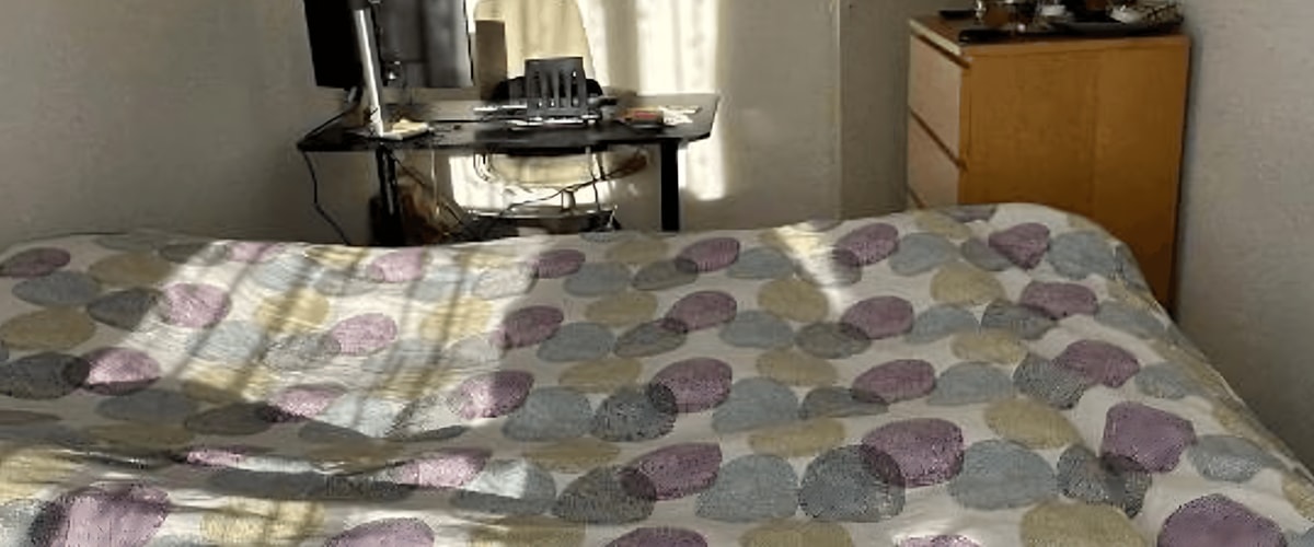 Kamer huren in Haarlem