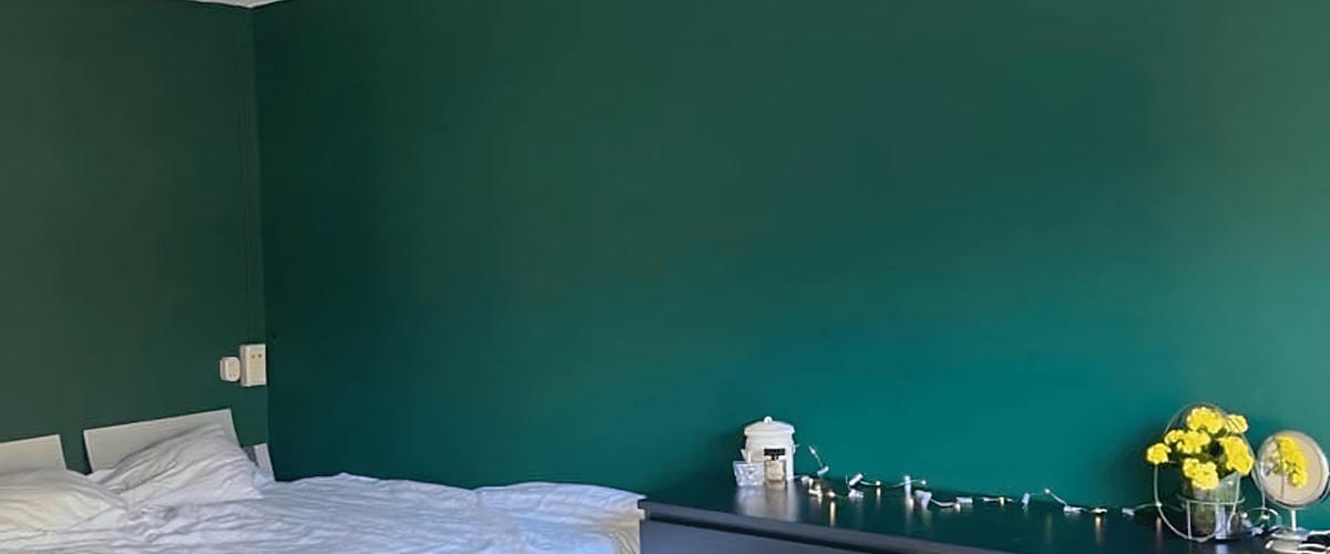 Kamer huren in Delft