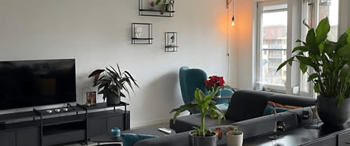 Kamer huren in Eindhoven