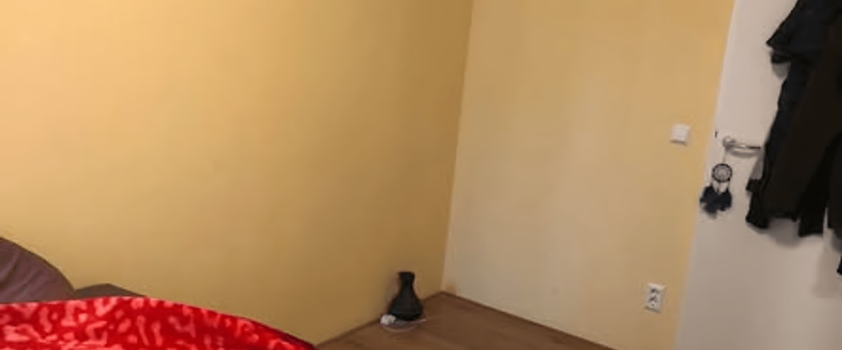 Kamer huren in Delft