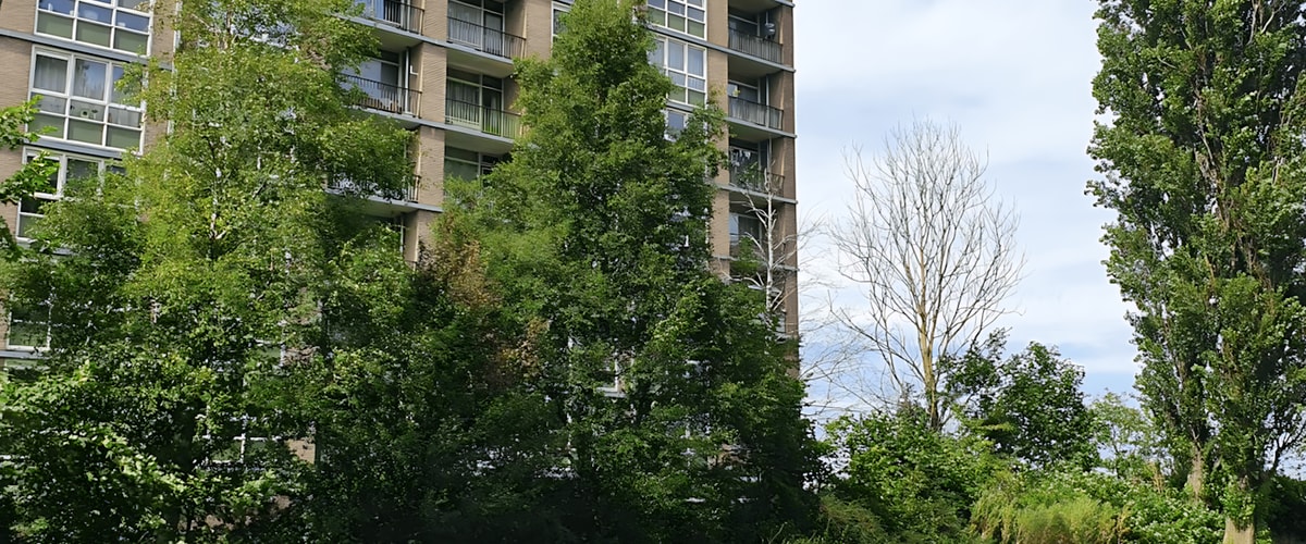 Appartement huren in Krommenie