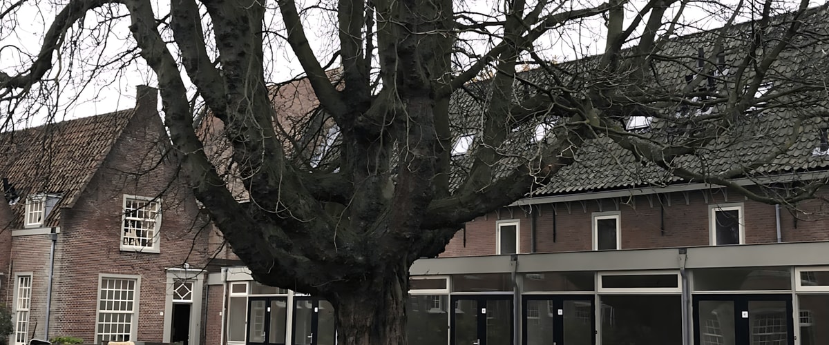 Huis huren in Leiden