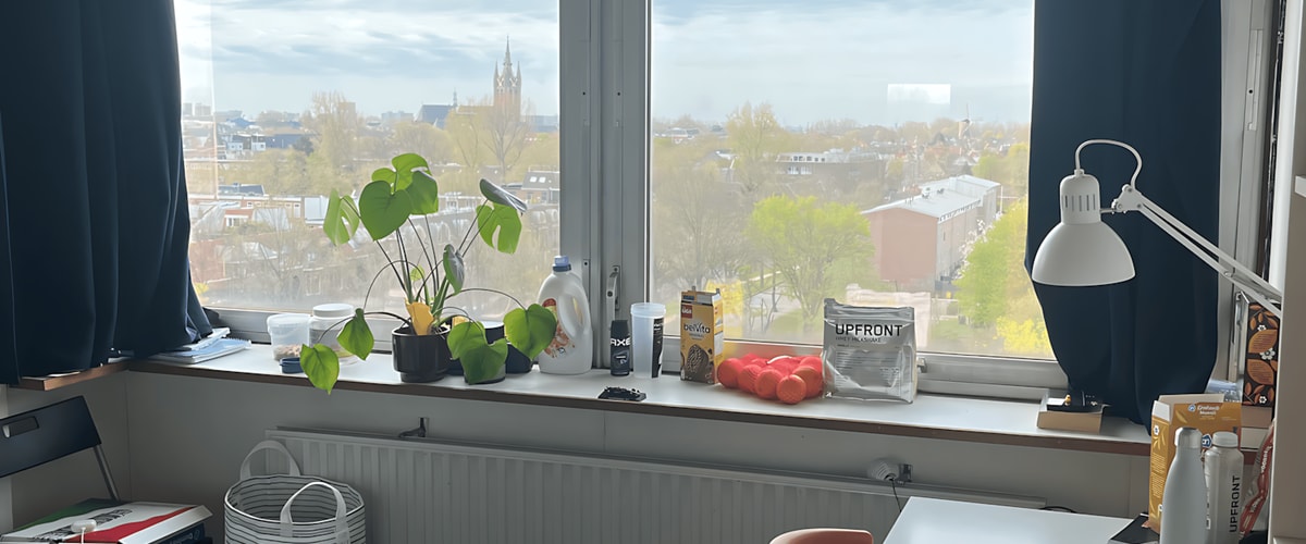 Kamer huren in Delft