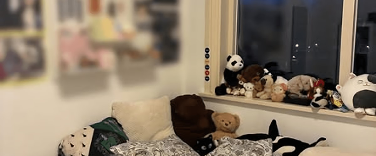 Kamer huren in Groningen