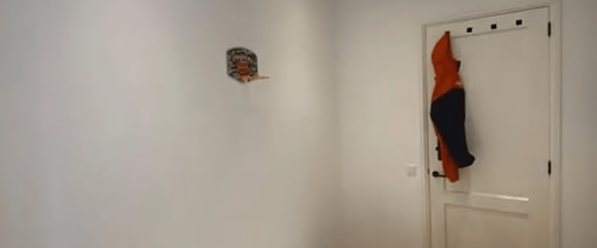 Studio huren in Den Haag