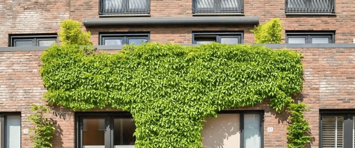 Huis huren in Tilburg