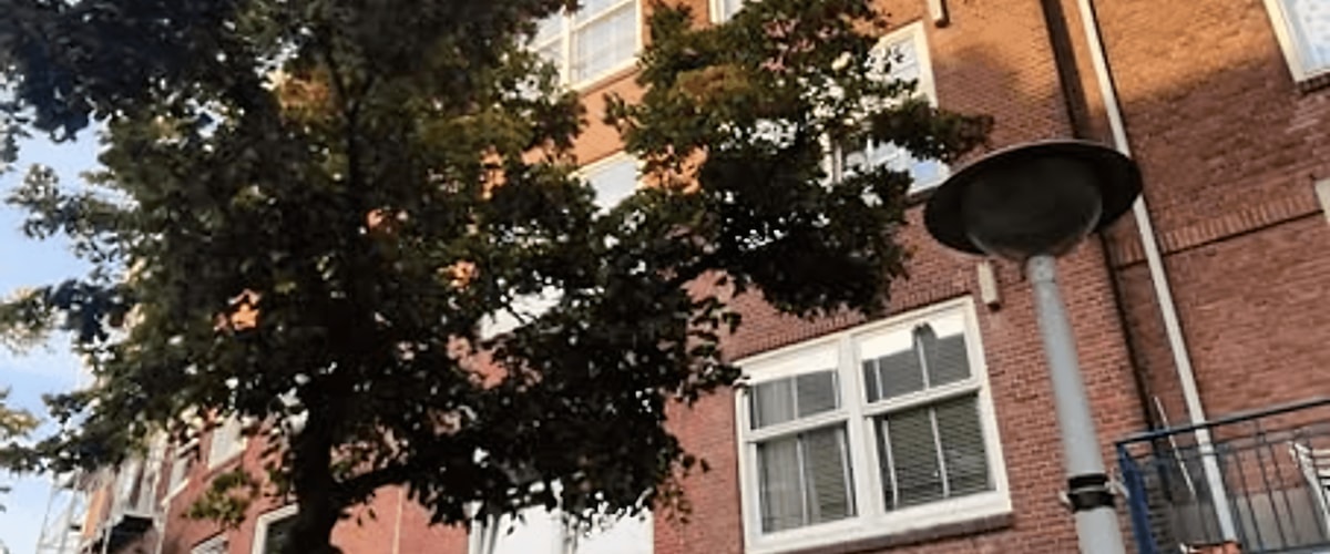 Kamer huren in Amsterdam