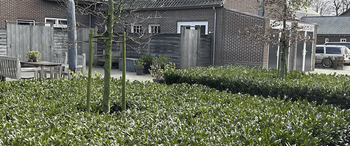 Huis huren in Vessem