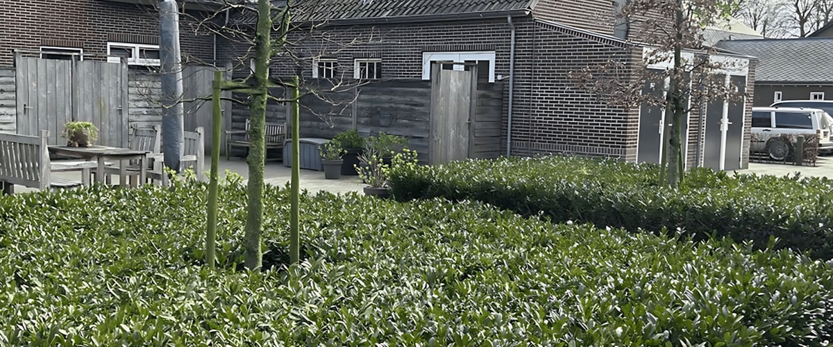 Huis huren in Vessem