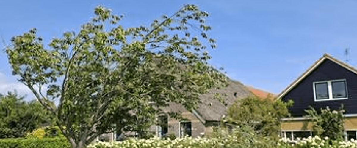 Huis huren in Oene