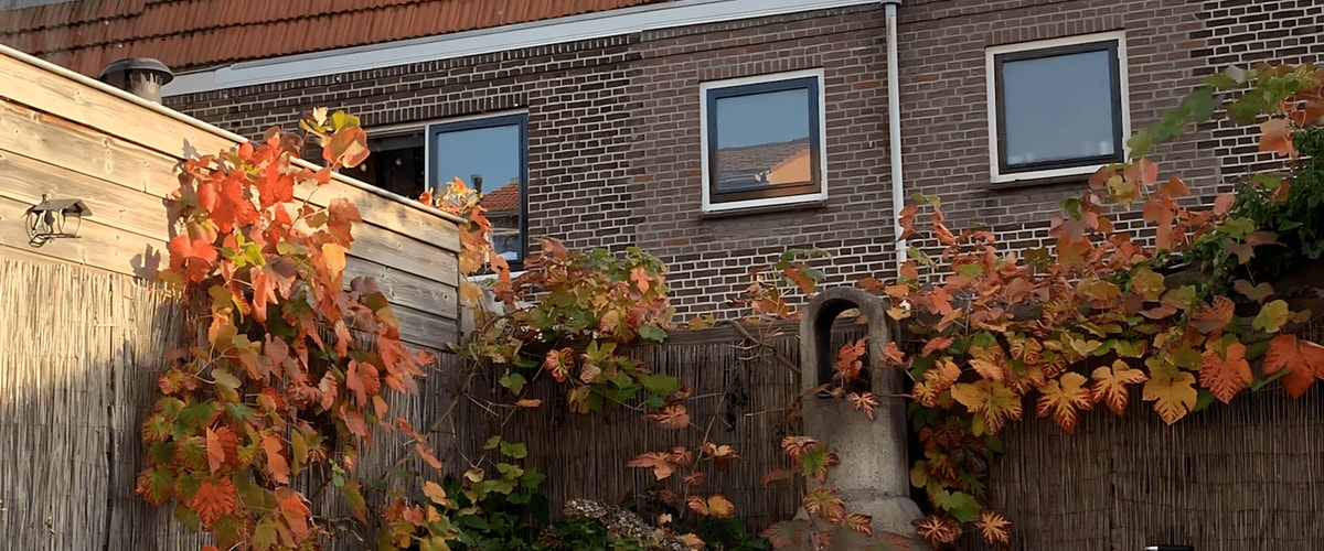 Kamer huren in Delft