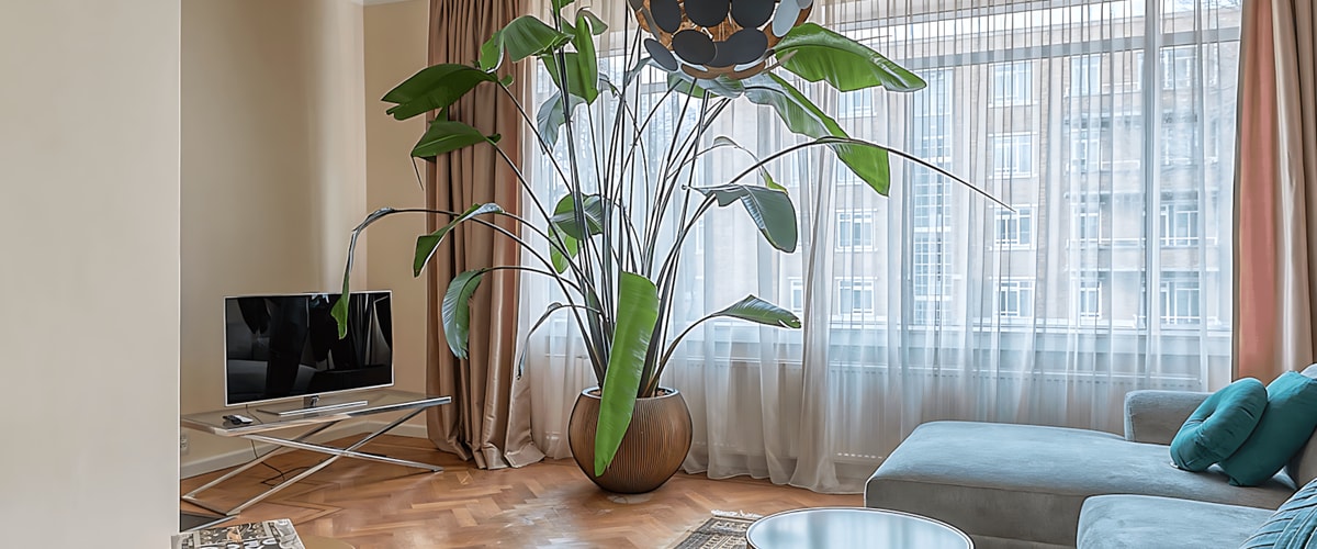 Appartement huren in Den Haag