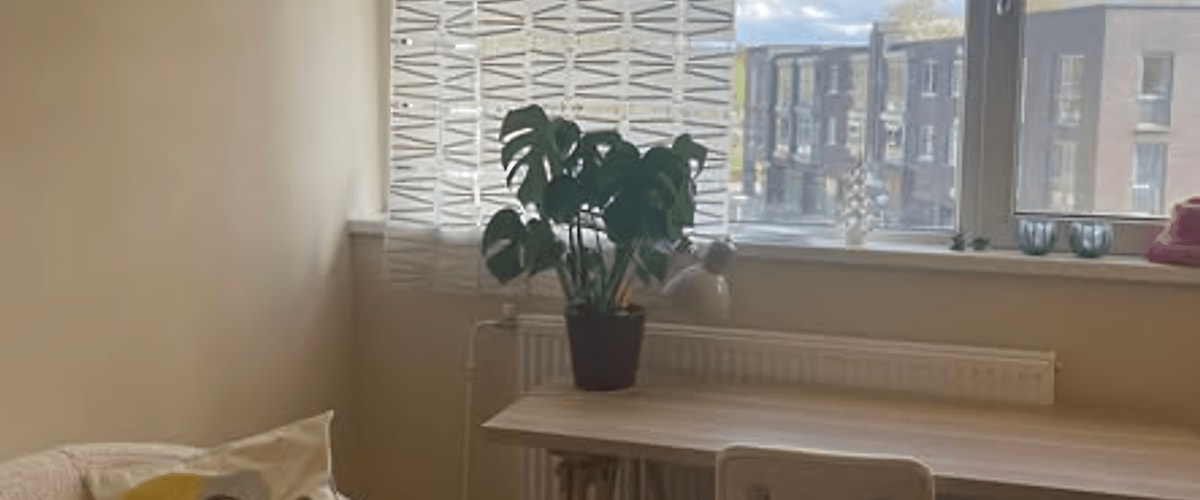 Kamer huren in Eindhoven