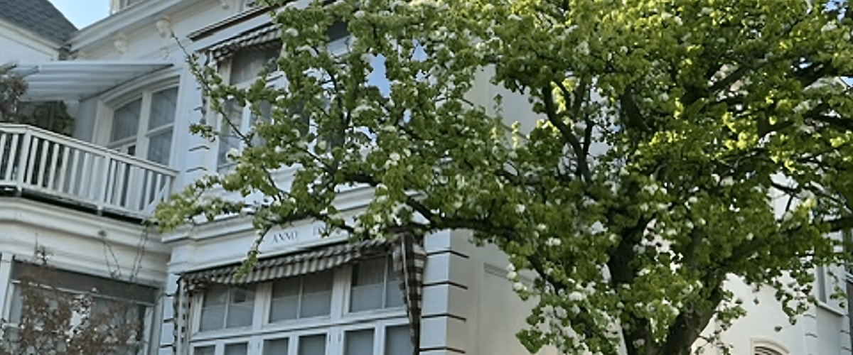 Kamer huren in Den Haag