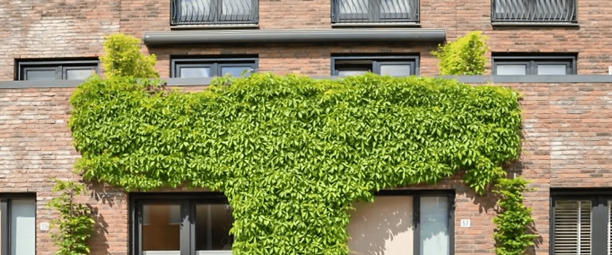 Huis huren in Tilburg