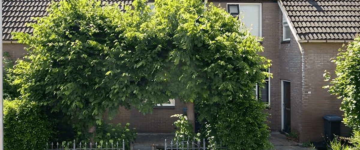 Huis huren in Hellevoetsluis