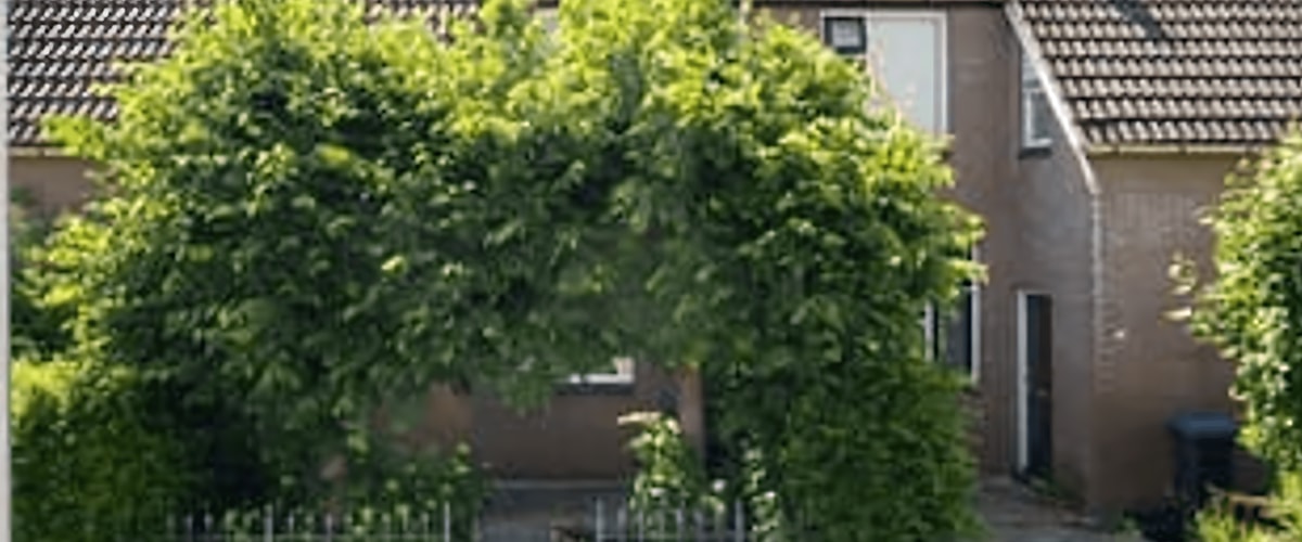Huis huren in Hellevoetsluis