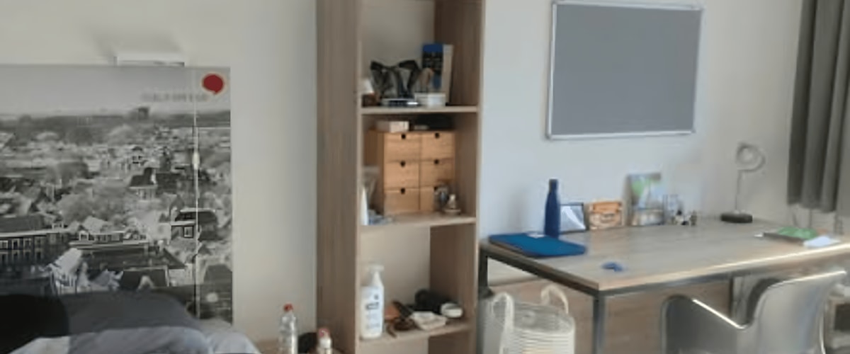 Kamer huren in Delft