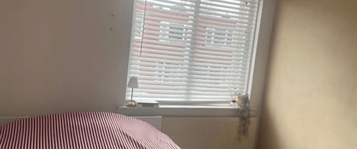 Kamer huren in Groningen