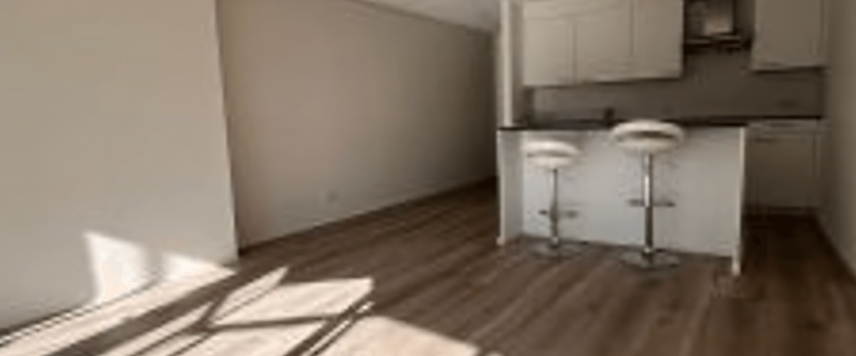 Appartement huren in Haarlem