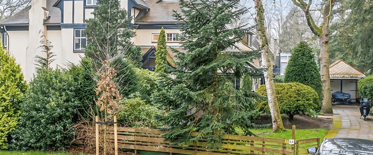 Huis huren in Wassenaar