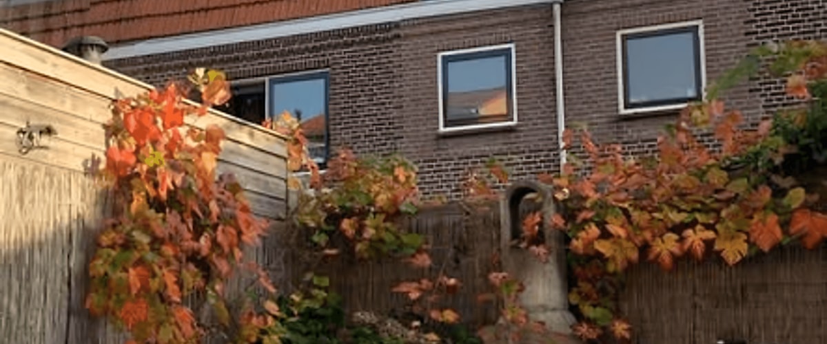 Kamer huren in Delft