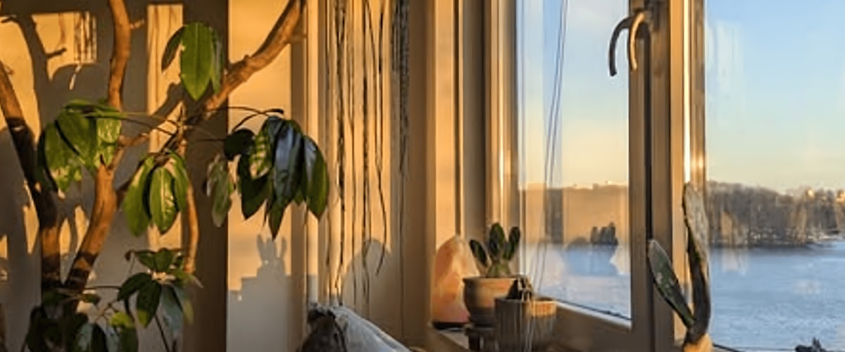 Kamer huren in Amsterdam