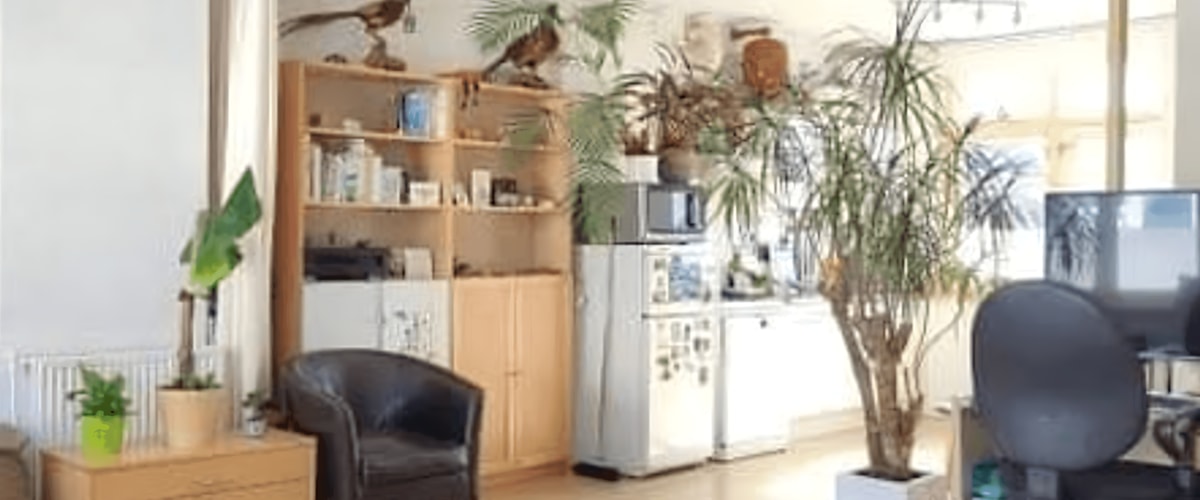 Kamer huren in Groningen