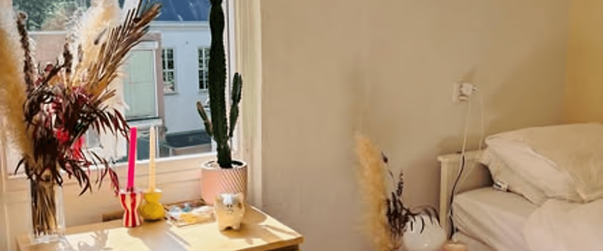 Kamer huren in Den Bosch